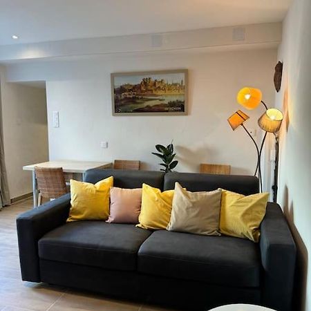 Appartement De Plain-Pied Avec Jardin Авиньон Екстериор снимка
