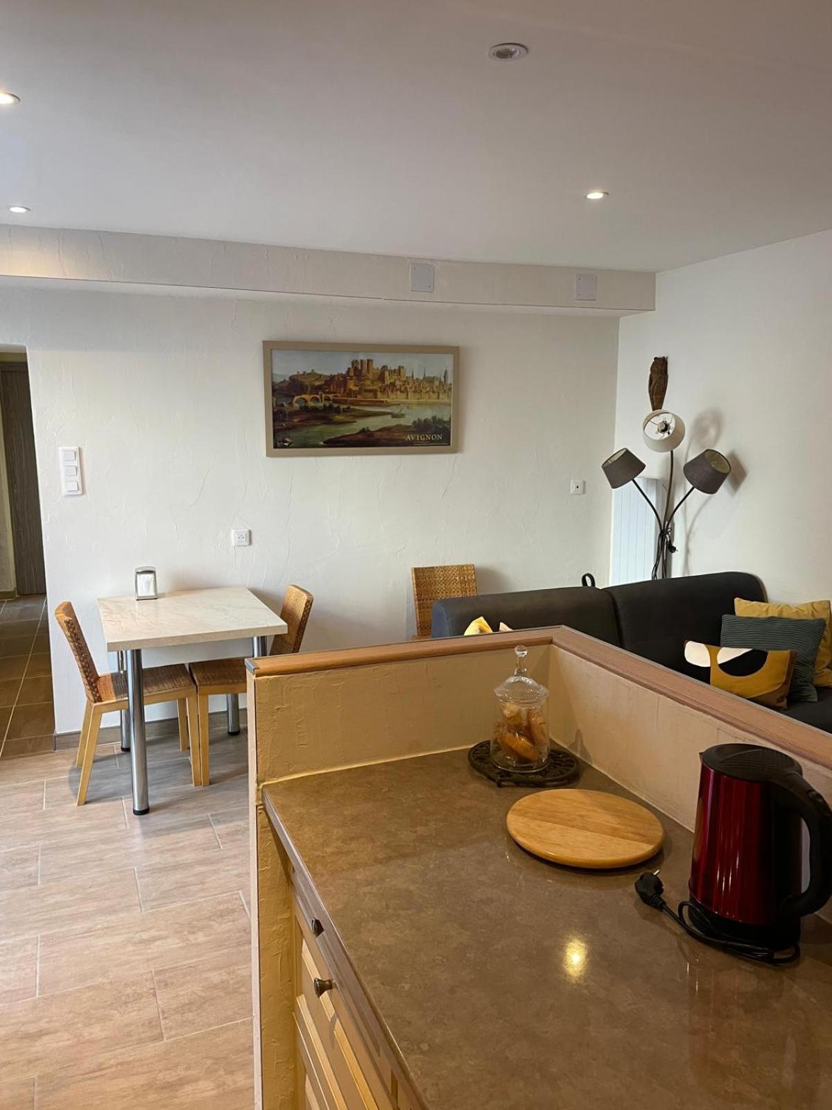 Appartement De Plain-Pied Avec Jardin Авиньон Екстериор снимка