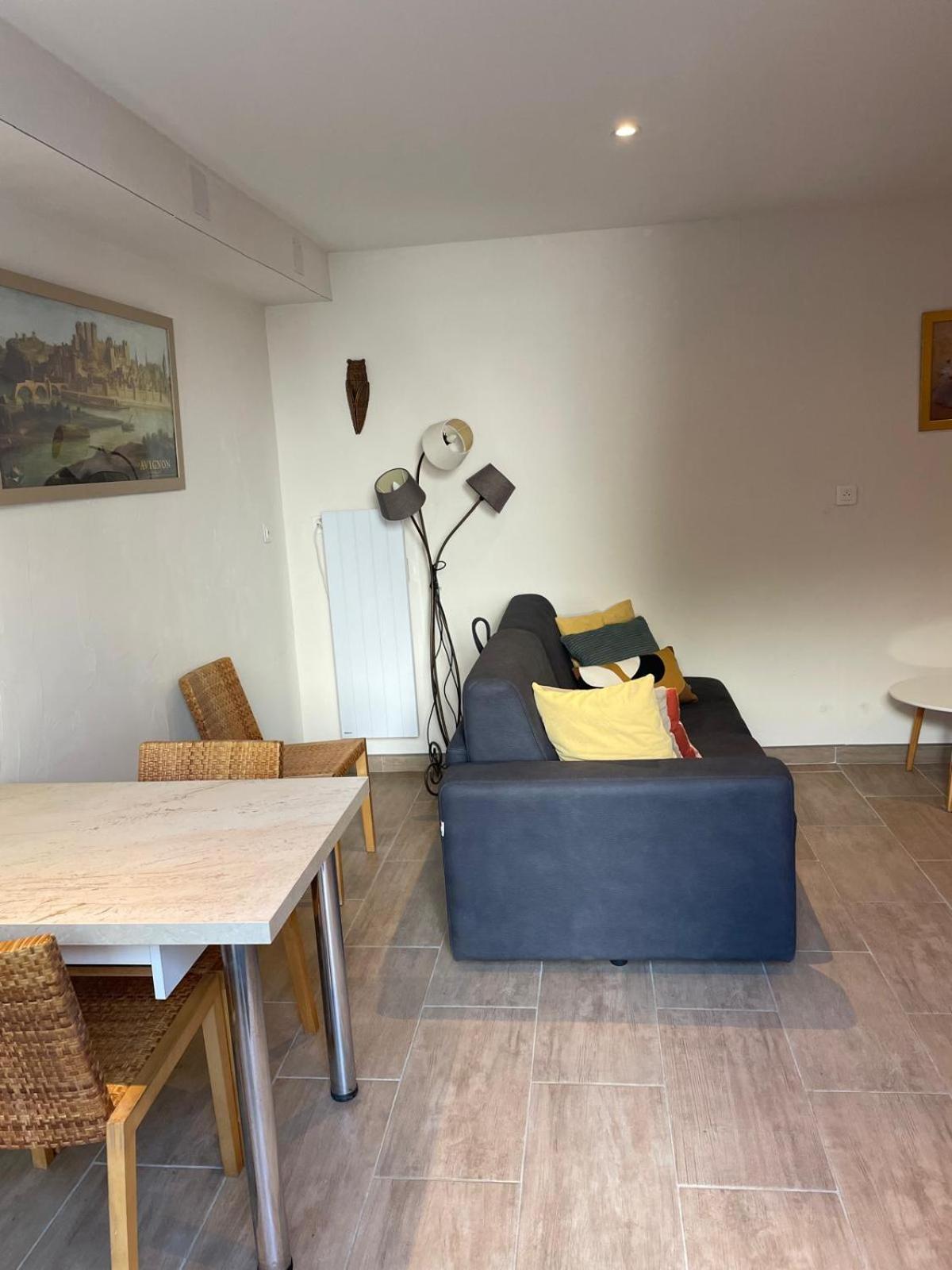 Appartement De Plain-Pied Avec Jardin Авиньон Екстериор снимка